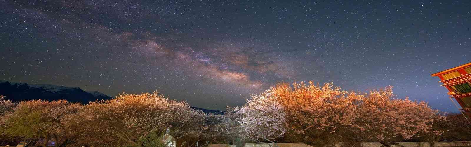 41660全球赢家的信心